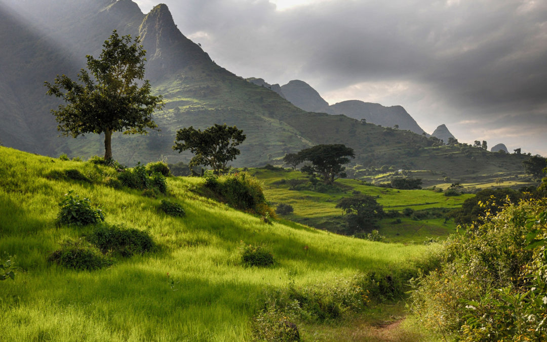 Ethiopia’s Simien Mountains Has A Mesmerizing Landscape Full Of Exotic Plants and Wildlife