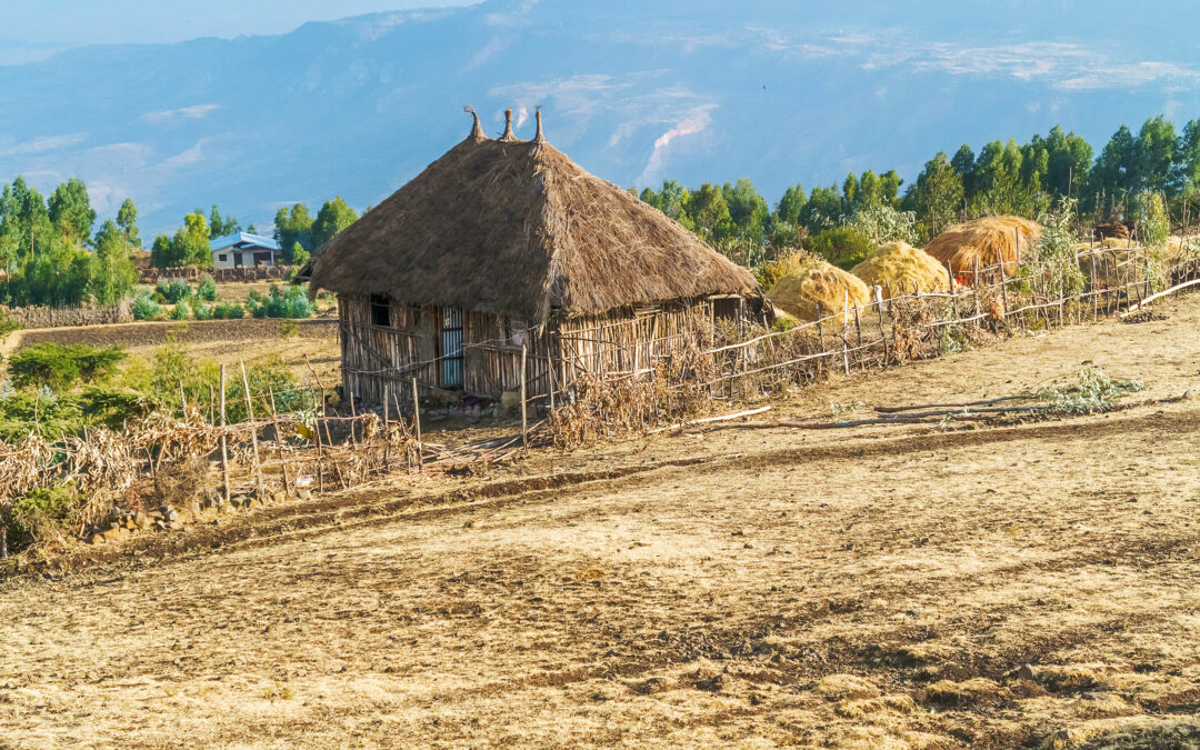 Ethiopian Airlines And U.S. Agency USAID Partner To Source Local Food For In-Flight Meals